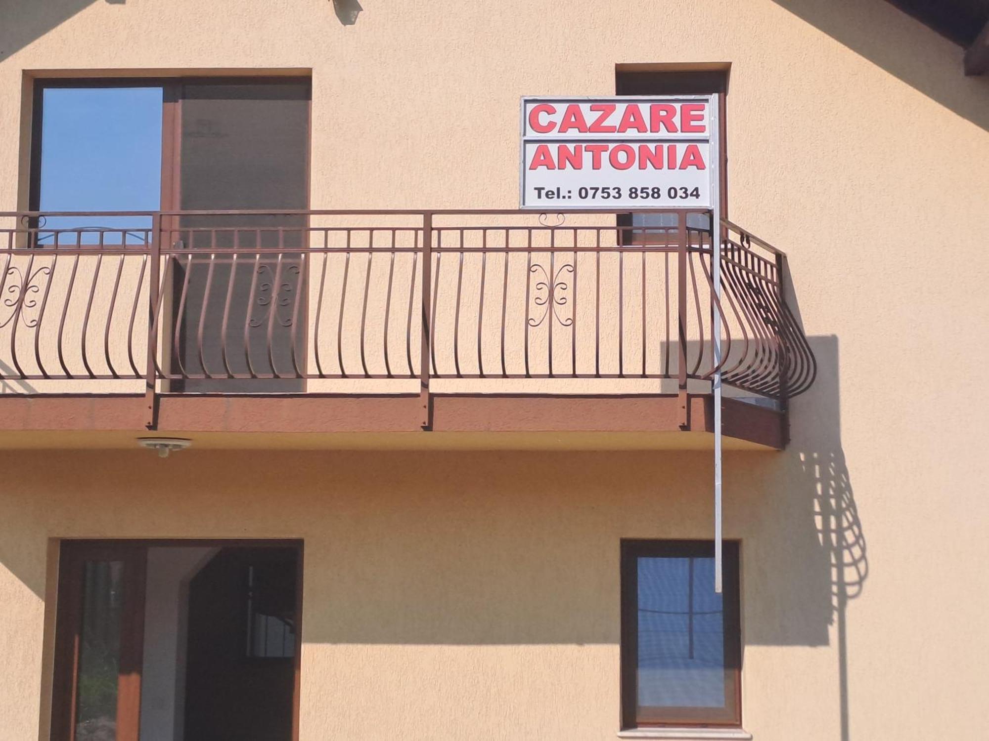 Cazare Antonia Curtea De Arges Exterior photo